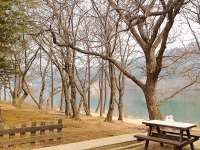 Nikmati Sensasi 4 Musim yang Cantik di Pulau Nami Korea Selatan